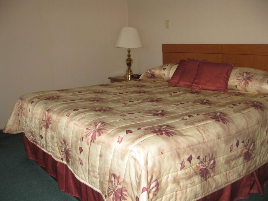 Deer Lake Motel Room photo